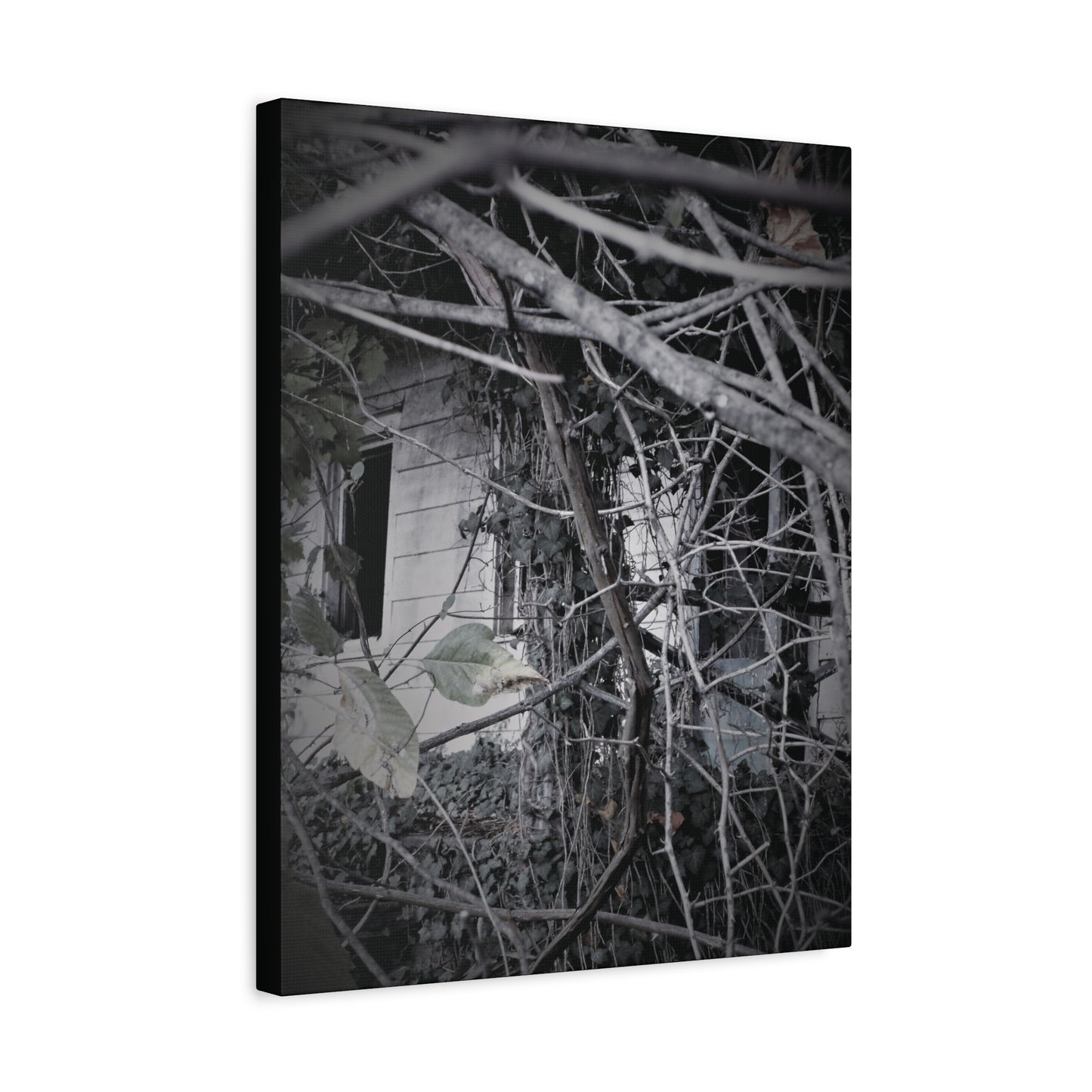 A HOUSE IN THE WOODS